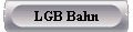  LGB Bahn 