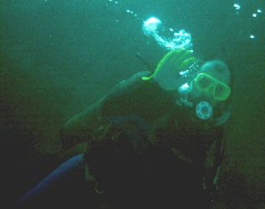 Dive_8